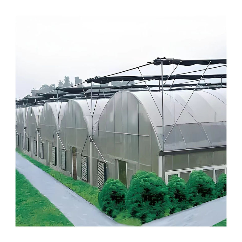 High-Tunnel Tomato & Vegetable Greenhouse