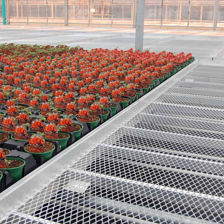 Wire-Mesh Rolling Nursery Bench