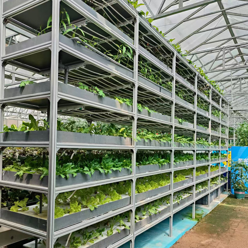 Rolling Seedling Rack with LED Light Poles