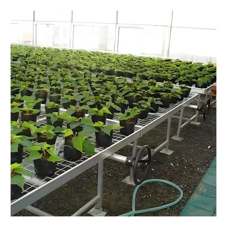 Welded-Mesh Agricultural Rolling Seedbed