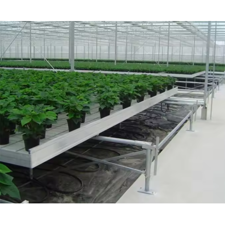 Movable Rolling Seedbed with PC Sheet Cover