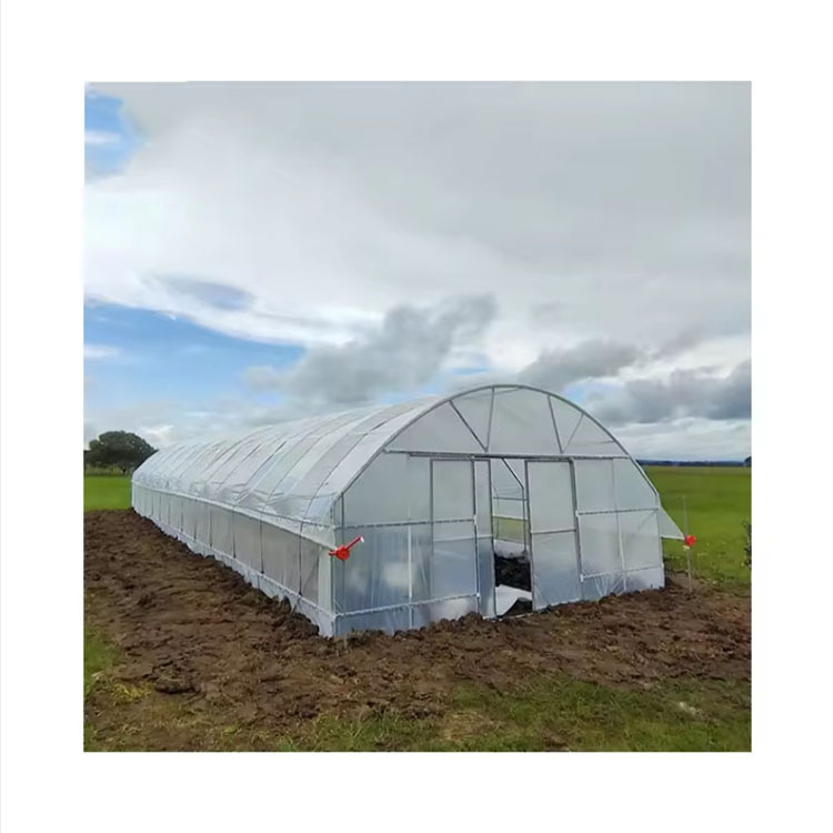 Single-Span Arched Tunnel Greenhouse